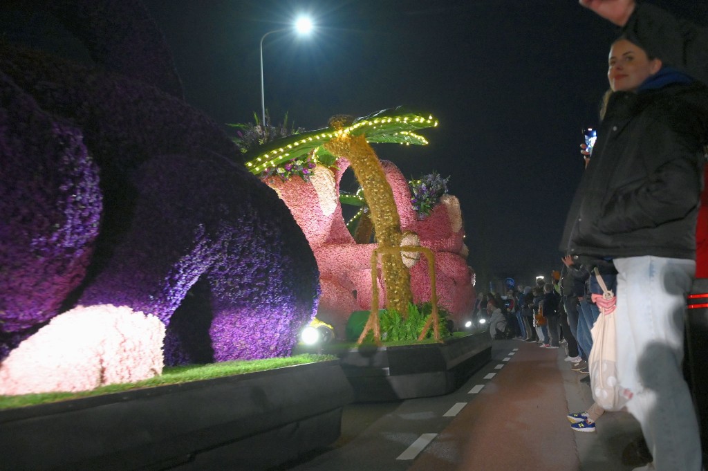 ../Images/Verlicht bloemencorso 2025 195.jpg